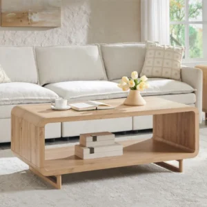 Abrianna 48" Wide Coffee Table with Storage Shelf, 2-Tier Minimalist Center Table